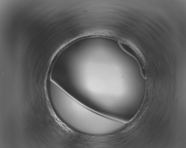 X0000084560944200702230958
