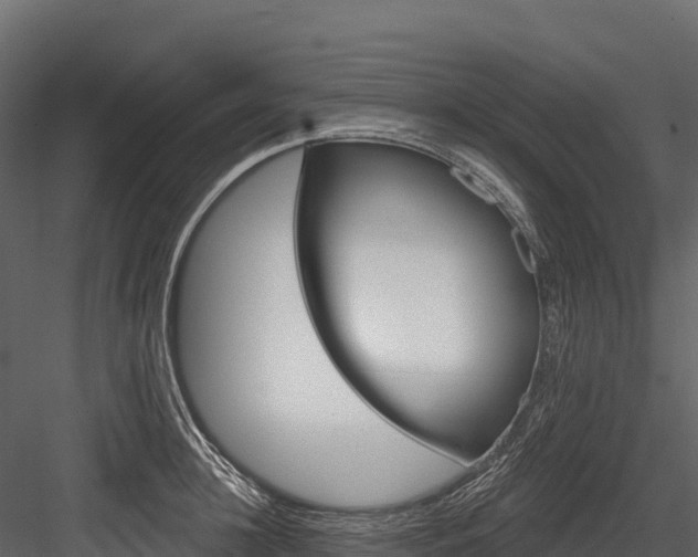X0000084560948200702230958