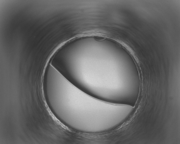 X0000084560949200702230958