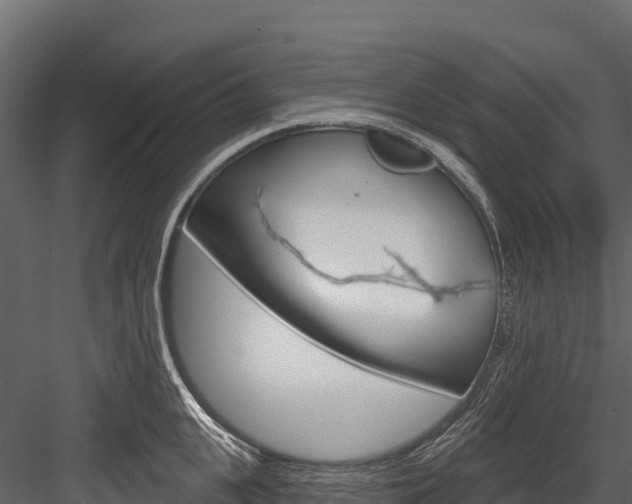 X0000084560951200702230958