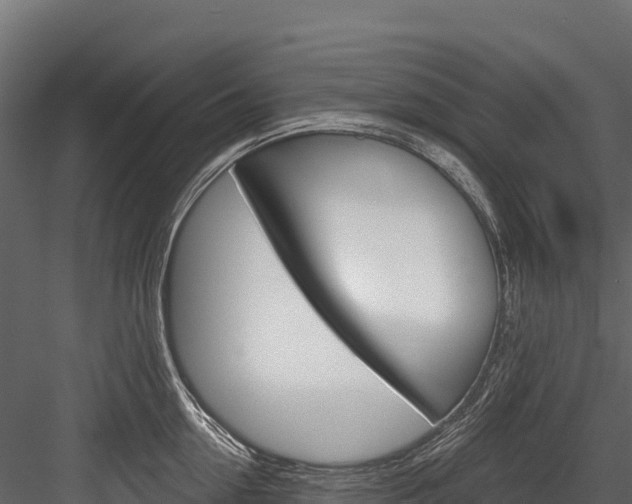 X0000084560954200702230958
