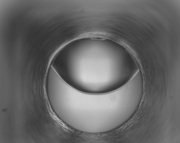X0000084560960200702230958