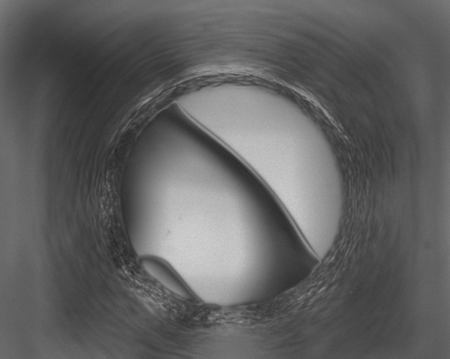 X0000084560967200702230957
