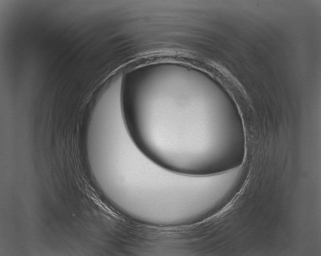 X0000084560969200702230957