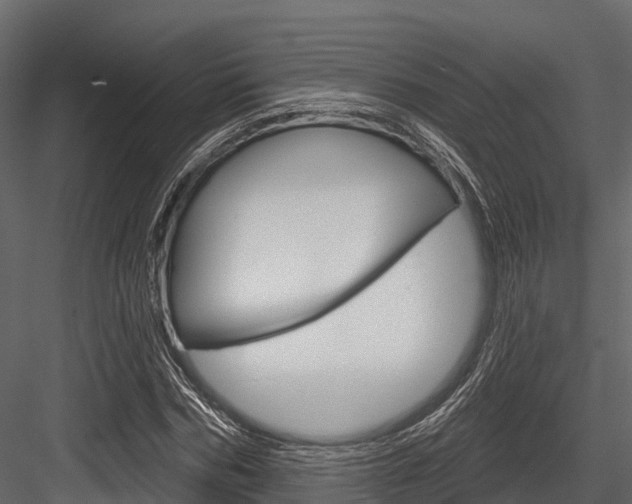 X0000084560970200702230957