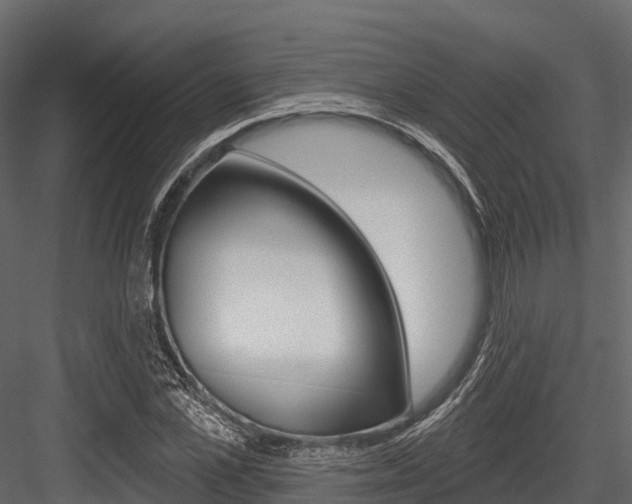 X0000084560973200702230957