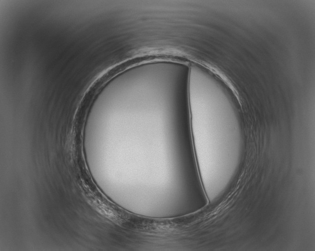 X0000084560975200702230957