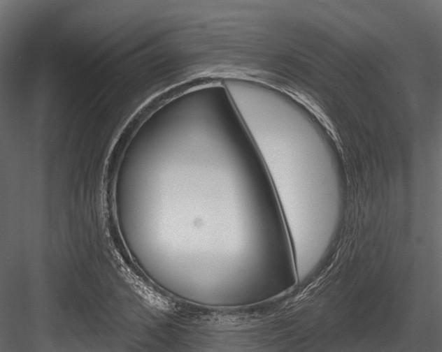 X0000084560976200702230957