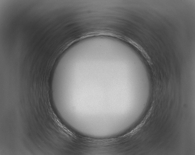 X0000084560977200702230957