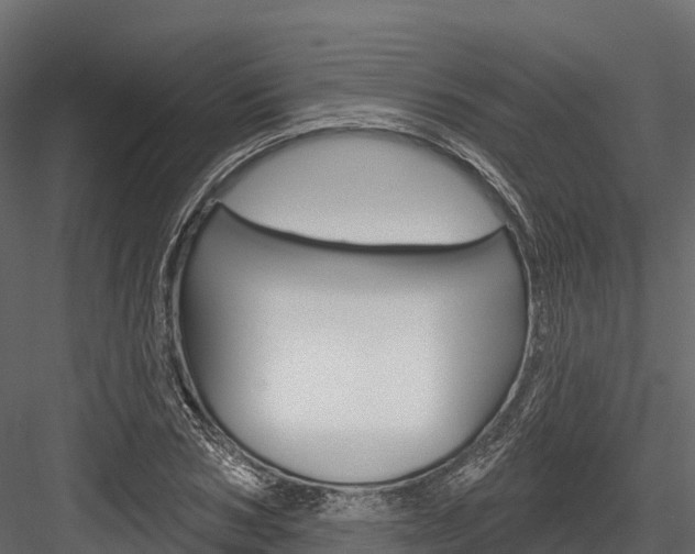 X0000084560978200702230957
