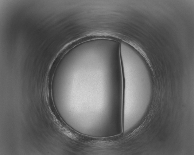 X0000084560984200702230957
