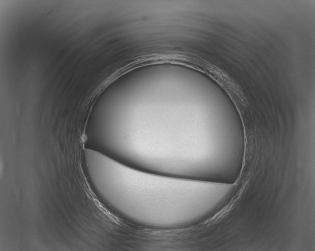 X0000084560985200702230957