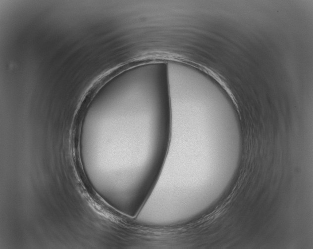 X0000084560987200702230957