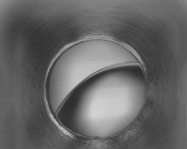 X0000084561005200702230956