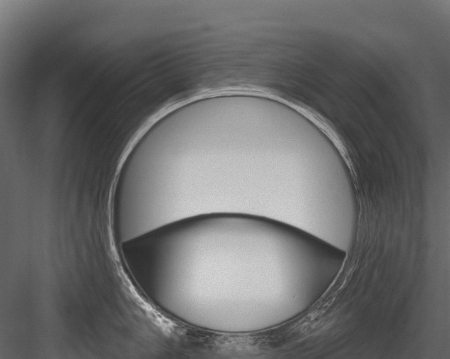 X0000084561006200702230956