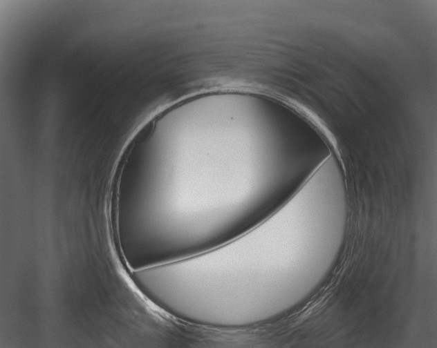 X0000084561007200702230956