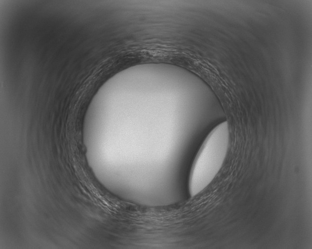 X0000084561009200702230956
