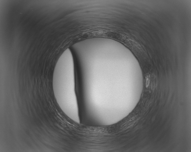 X0000084561011200702230956