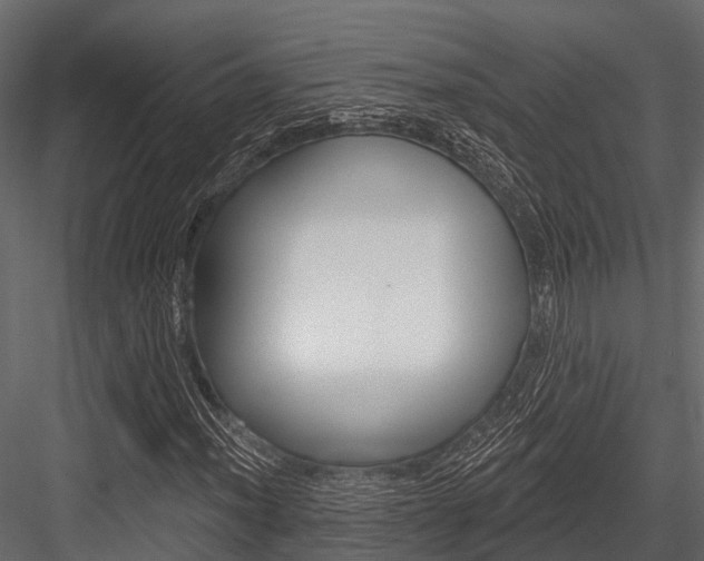 X0000084561012200702230956