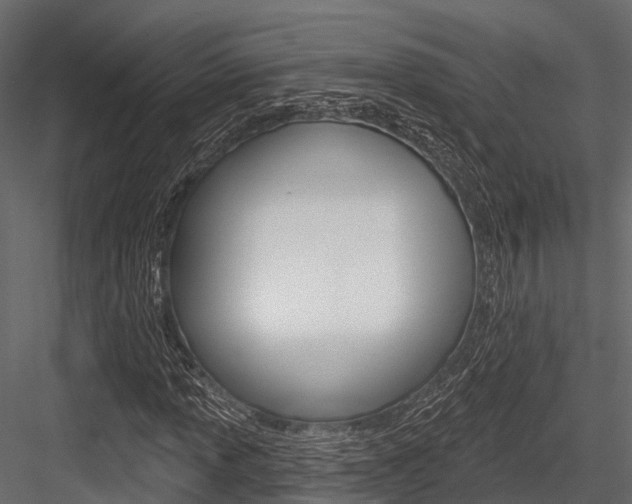 X0000084561013200702230956