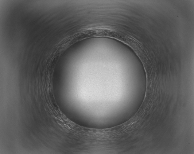 X0000084561014200702230956