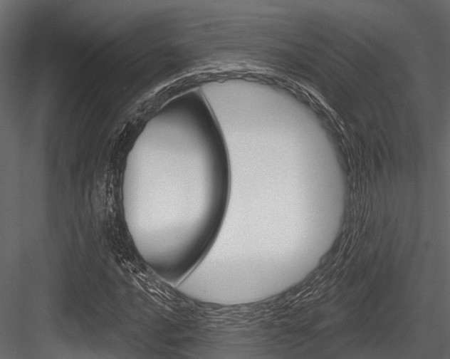 X0000084561016200702230956