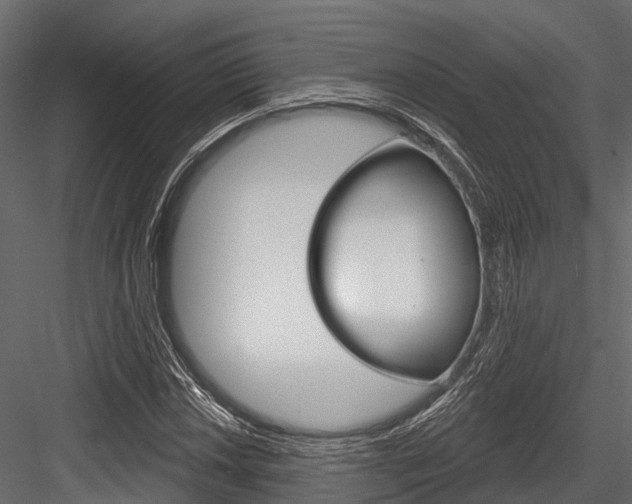 X0000084561018200702230956