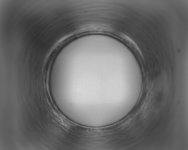 X0000084561019200702230956