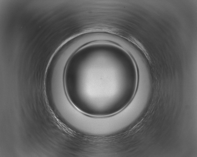 X0000084561020200702230956