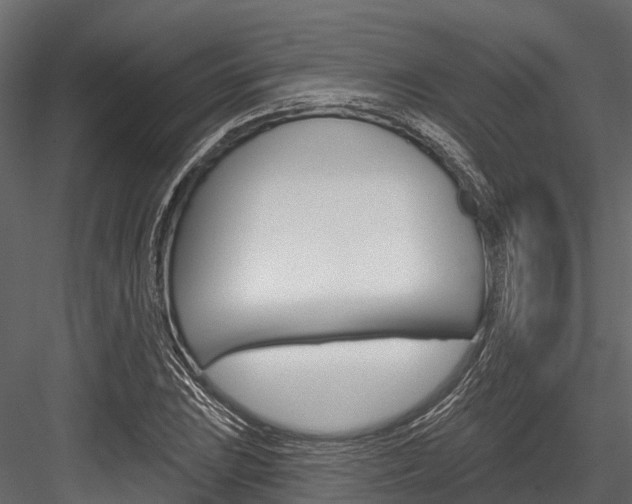 X0000084561023200702230956
