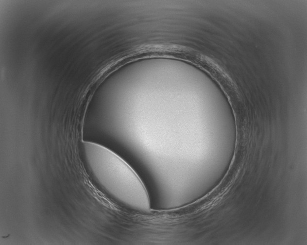 X0000084561025200702230956