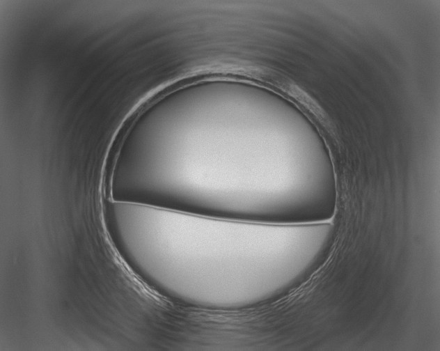 X0000084561028200702230956