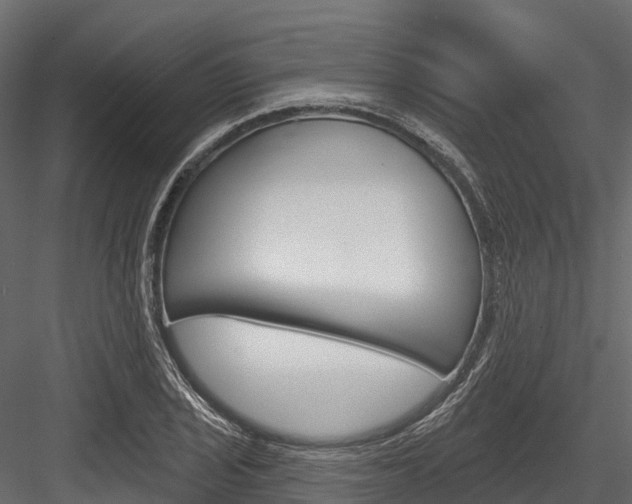 X0000084561029200702230956