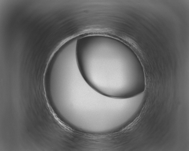 X0000084561030200702230956
