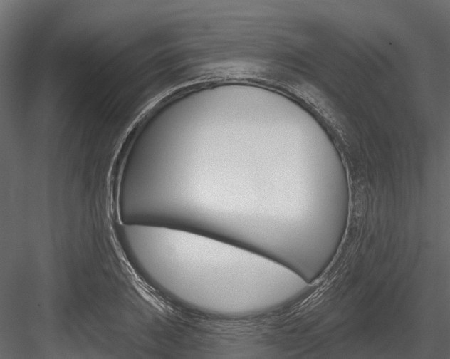 X0000084561031200702230956