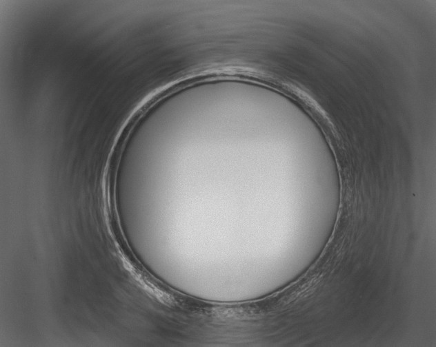 X0000084561032200702230956