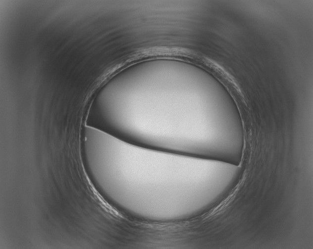 X0000084561033200702230956