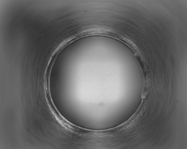 X0000084561034200702230956