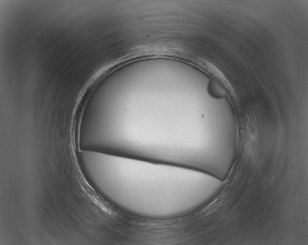 X0000084561035200702230956