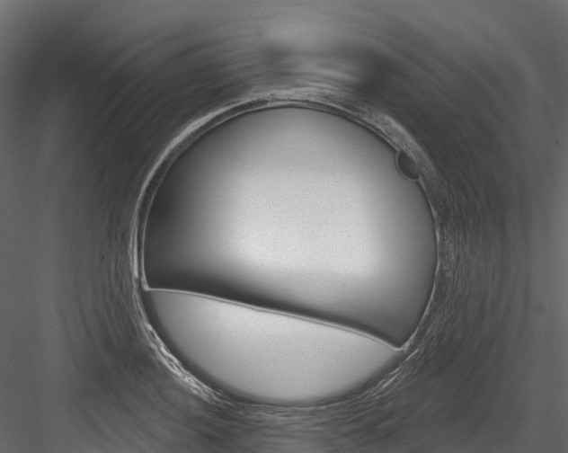 X0000084561036200702230956