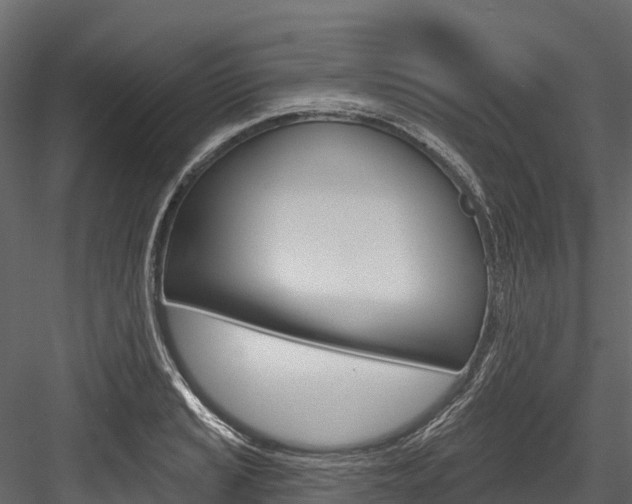 X0000084561037200702230956