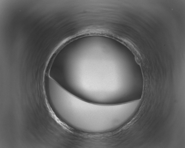 X0000084561038200702230956