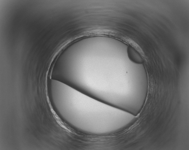 X0000084561039200702230956