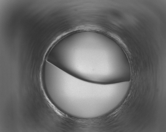 X0000084561040200702230956