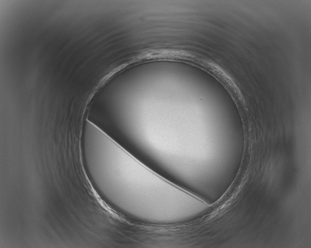 X0000084561041200702230956