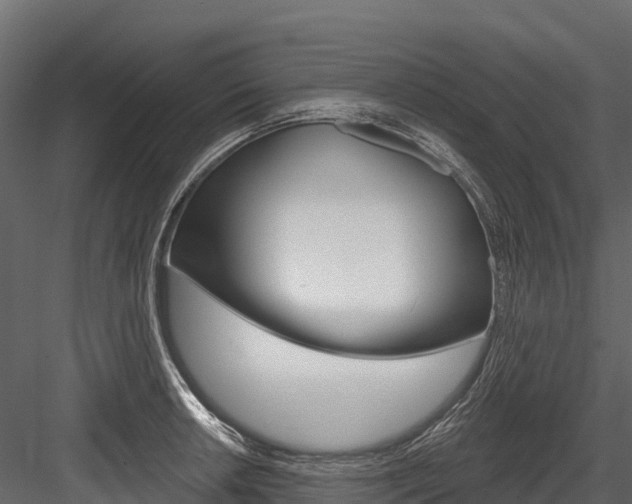 X0000084561042200702230956