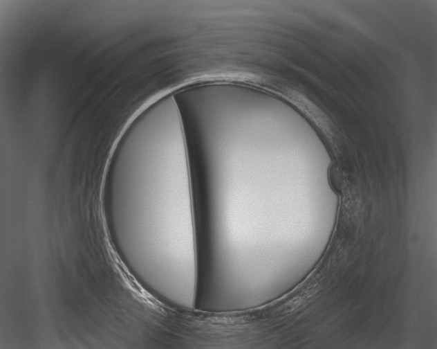 X0000084561044200702230956
