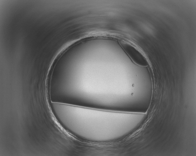 X0000084561045200702230956