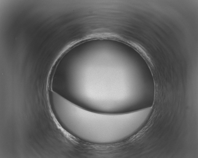 X0000084561046200702230956