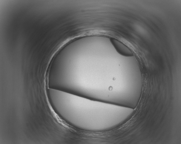X0000084561047200702230956